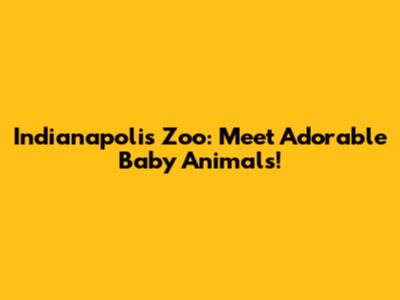 Indianapolis Zoo: Meet Adorable Baby Animals!