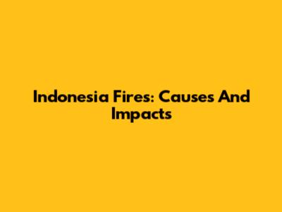 Indonesia Fires: Causes And Impacts