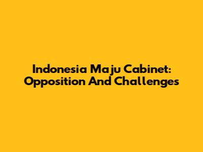 Indonesia Maju Cabinet: Opposition And Challenges