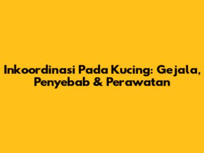 Inkoordinasi Pada Kucing: Gejala, Penyebab & Perawatan