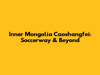Inner Mongolia Caoshangfei: Soccerway & Beyond