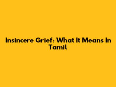 Insincere Grief: What It Means In Tamil
