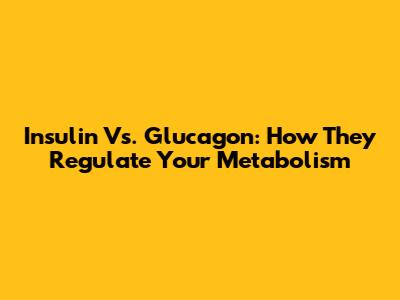 Insulin Vs. Glucagon: How They Regulate Your Metabolism