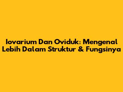 Iovarium Dan Oviduk: Mengenal Lebih Dalam Struktur & Fungsinya