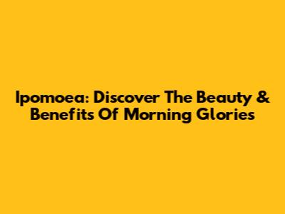 Ipomoea: Discover The Beauty & Benefits Of Morning Glories