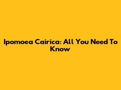 Ipomoea Cairica: All You Need To Know