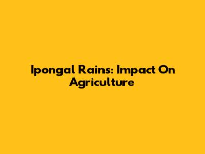 Ipongal Rains: Impact On Agriculture