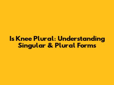 Is Knee Plural: Understanding Singular & Plural Forms