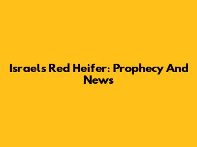 Israel's Red Heifer: Prophecy And News