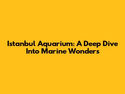 Istanbul Aquarium: A Deep Dive Into Marine Wonders