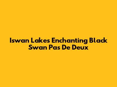 Iswan Lake's Enchanting Black Swan Pas De Deux