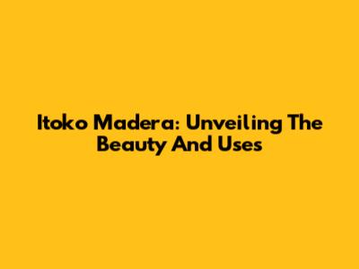 Itoko Madera: Unveiling The Beauty And Uses
