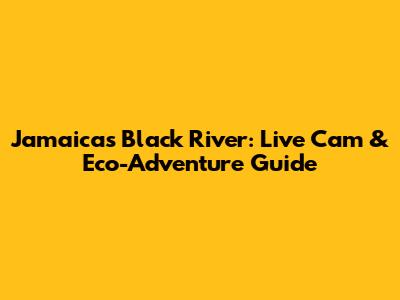 Jamaica's Black River: Live Cam & Eco-Adventure Guide