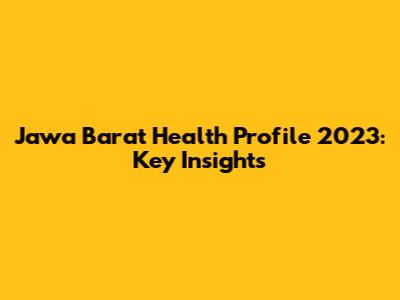 Jawa Barat Health Profile 2023: Key Insights