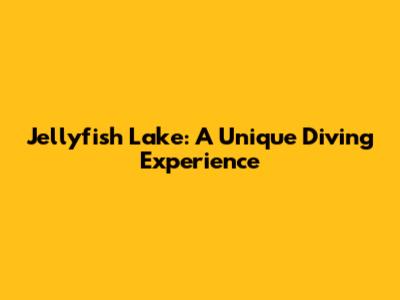 Jellyfish Lake: A Unique Diving Experience