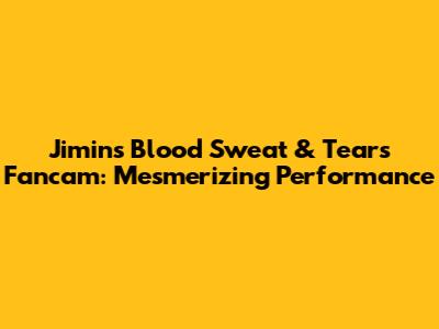 Jimin's Blood Sweat & Tears Fancam: Mesmerizing Performance