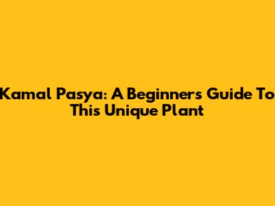Kamal Pasya: A Beginner's Guide To This Unique Plant