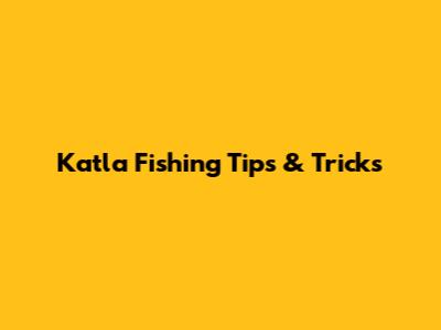Katla Fishing Tips & Tricks