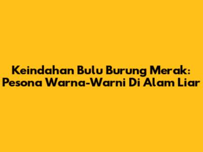 Keindahan Bulu Burung Merak: Pesona Warna-Warni Di Alam Liar