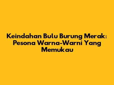 Keindahan Bulu Burung Merak: Pesona Warna-Warni Yang Memukau