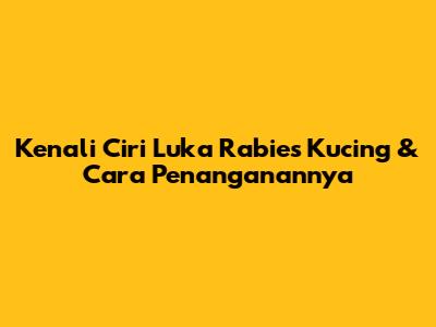 Kenali Ciri Luka Rabies Kucing & Cara Penanganannya