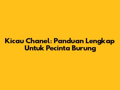 Kicau Chanel: Panduan Lengkap Untuk Pecinta Burung