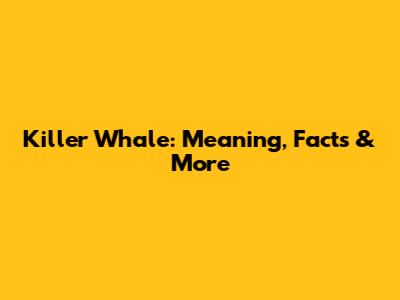 Killer Whale: Meaning, Facts & More