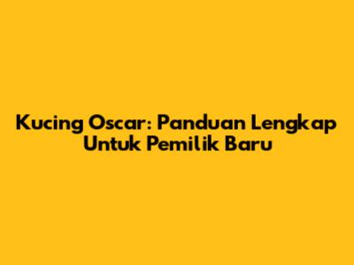 Kucing Oscar: Panduan Lengkap Untuk Pemilik Baru