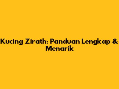 Kucing Zirath: Panduan Lengkap & Menarik