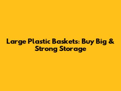 Large Plastic Baskets: Buy Big & Strong Storage