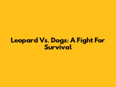 Leopard Vs. Dogs: A Fight For Survival