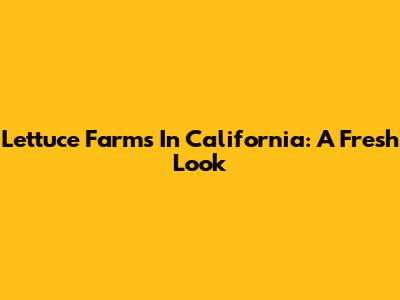 Lettuce Farms In California: A Fresh Look