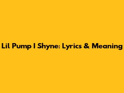 Lil Pump I Shyne: Lyrics & Meaning