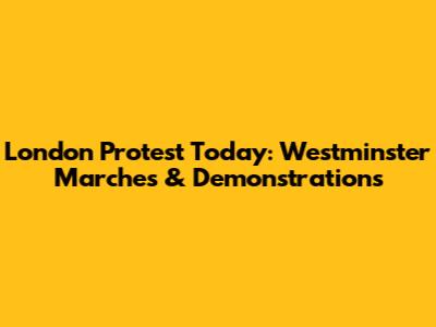 London Protest Today: Westminster Marches & Demonstrations