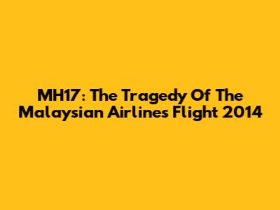 MH17: The Tragedy Of The Malaysian Airlines Flight 2014