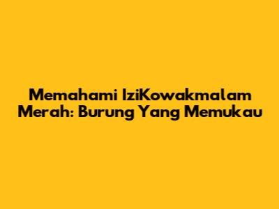 Memahami IziKowakmalam Merah: Burung Yang Memukau