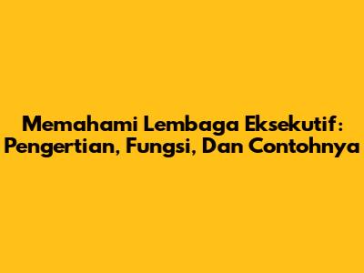 Memahami Lembaga Eksekutif: Pengertian, Fungsi, Dan Contohnya