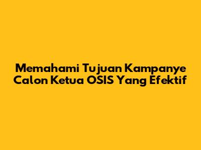 Memahami Tujuan Kampanye Calon Ketua OSIS Yang Efektif