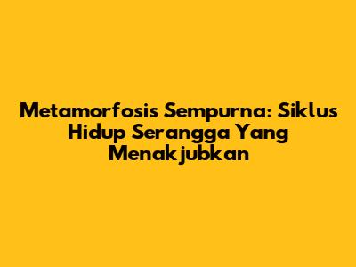 Metamorfosis Sempurna: Siklus Hidup Serangga Yang Menakjubkan