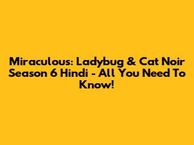 Miraculous: Ladybug & Cat Noir Season 6 Hindi - All You Need To Know!