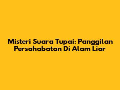 Misteri Suara Tupai: Panggilan Persahabatan Di Alam Liar