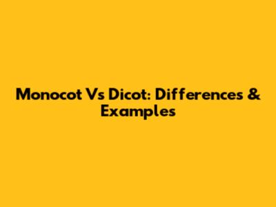 Monocot Vs Dicot: Differences & Examples