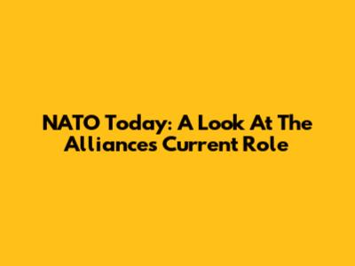NATO Today: A Look At The Alliance's Current Role
