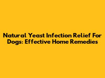 Natural Yeast Infection Relief For Dogs: Effective Home Remedies