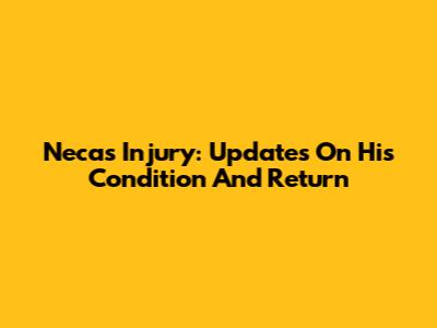 Necas Injury: Updates On His Condition And Return