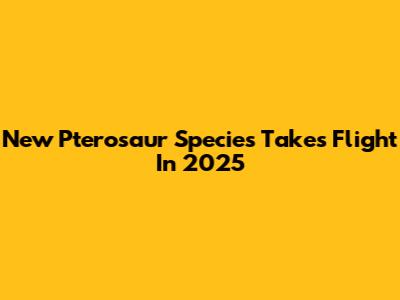 New Pterosaur Species Takes Flight In 2025