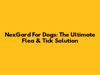 NexGard For Dogs: The Ultimate Flea & Tick Solution