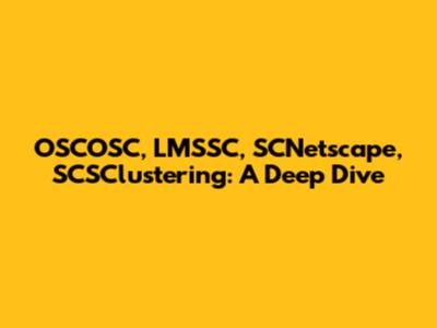 OSCOSC, LMSSC, SCNetscape, SCSClustering: A Deep Dive