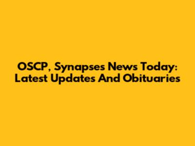 OSCP, Synapses News Today: Latest Updates And Obituaries