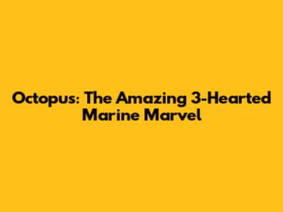Octopus: The Amazing 3-Hearted Marine Marvel